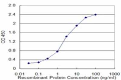 Sandwich ELISA: STAT5a Antibody (1B12) [H00006776-M02] - Detection limit for recombinant GST tagged STAT5A is approximately 0.1ng/ml as a capture antibody.