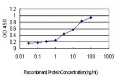 Sandwich ELISA: STI1 Antibody (4B6) [H00010963-M01] - Detection limit for recombinant GST tagged STIP1 is approximately 0.1ng/ml as a capture antibody.