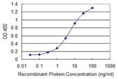 Sandwich ELISA: STK31 Antibody (1C10) [H00056164-M02] - Detection limit for recombinant GST tagged STK31 is 0.1 ng/ml as a capture antibody.
