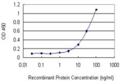 Sandwich ELISA: STK33 Antibody (6G1) [H00065975-M02] - Detection limit for recombinant GST tagged STK33 is 1 ng/ml as a capture antibody.