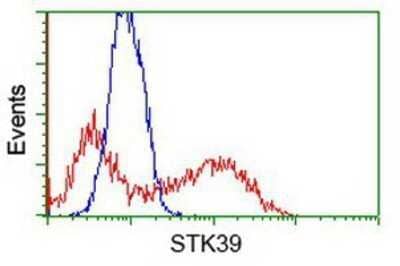 Flow Cytometry: STK39 Antibody (OTI4E3) - Azide and BSA Free [NBP2-74406] - HEK293T cells transfected with either overexpression plasmid (Red) or empty vector control plasmid (Blue) were immunostaining by anti-STK39 antibody, and then analyzed by flow cytometry.