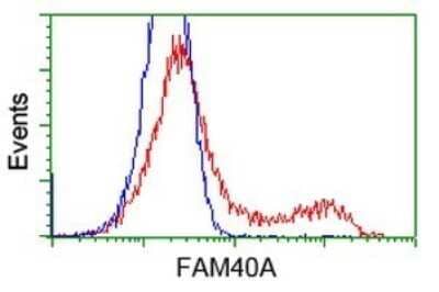 Flow Cytometry: STRIP1 Antibody (OTI7B8) [NBP2-45715] - Analysis of HEK293T cells transfected with either overexpress plasmid(Red) or empty vector control plasmid(Blue) were immunostained by FAM40A antibody.