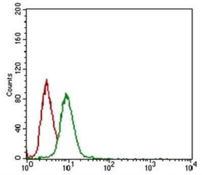 Flow Cytometry: STRO-1 Antibody (STRO-1) - Azide and BSA Free [NBP2-80966] - STRO-1 antibody was tested at 1:400 in MG-63 cells using an Alexa Fluor 488 secondary (green) alongside unstained cells (red). Image from the standard format of this antibody.