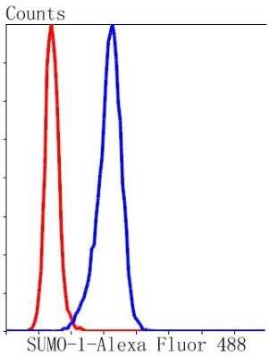 Flow Cytometry: SUMO1 Antibody (SJ20-03) [NBP2-67419] - Analysis of Hela cells with SUMO-1 antibody at 1/50 dilution (blue) compared with an unlabelled control (cells without incubation with primary antibody; red). Alexa Fluor 488-conjugated goat anti rabbit IgG was used as the secondary antibody.