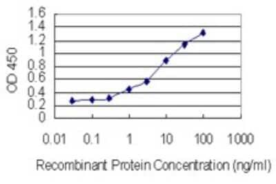 Sandwich ELISA: SUMO4 Antibody (1D3) [H00387082-M02] - Detection limit for recombinant GST tagged SUMO4 is 0.1 ng/ml as a capture antibody.