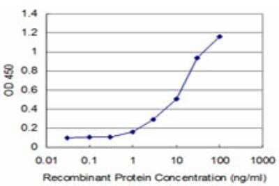 ELISA: SUPT5H Antibody (1G3) [H00006829-M04] - Detection limit for recombinant GST tagged SUPT5H is approximately 1ng/ml as a capture antibody.