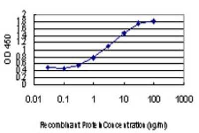 Sandwich ELISA: SUR1 Antibody (3G5) [H00006833-M01] - Detection limit for recombinant GST tagged ABCC8 is approximately 0.03ng/ml as a capture antibody.