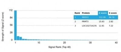 Protein Array: SURF5 Antibody (PCRP-MED22-1E4) - Azide and BSA Free [NBP3-14190] - Analysis of Protein Array containing more than 19,000 full-length human proteins using SURF5 Antibody (PCRP-MED22-1E4).