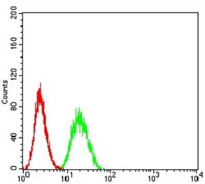 Flow Cytometry: SUZ12 Antibody (2B9G12) [NBP2-61892] - Analysis of Hela cells using SUZ12 mouse mAb (green) and negative control (red).