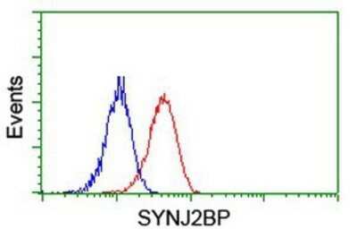 Flow Cytometry: SYNJ2BP/ARIP2 Antibody (OTI3A9) - Azide and BSA Free [NBP2-74417] - Analysis of Jurkat cells, using anti-SYNJ2BP/ARIP2 antibody, (Red), compared to a nonspecific negative control antibody (Blue).