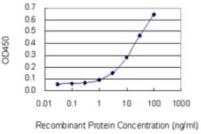 Sandwich ELISA: SYT11 Antibody (4e1) [H00023208-M03] - Detection limit for recombinant GST tagged SYT11 is 0.3 ng/ml as a capture antibody.