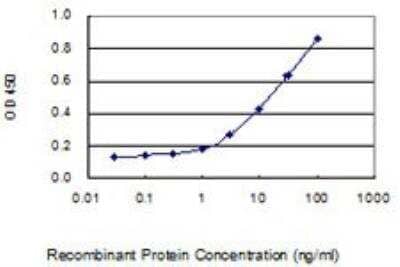 ELISA: Salivary Amylase Alpha Antibody (2D4) [H00000276-M04] - Detection limit for recombinant GST tagged AMY1A is 0.3 ng/ml as a capture antibody.