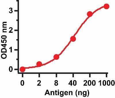 ELISA: Sars Envelope Protein Antibody [NBP2-41062] - SARS-CoV Envelope Antibody(1ug/mL). A direct ELISA was performed using immunogen as coating antigen and the anti-SARS-CoV Envelope antibody as the capture antibody. Secondary: Goat anti-rabbit IgG HRP conjugate at 1:20000 dilution. Detection range is from 2 ng/mL to 1000 ng/mL.