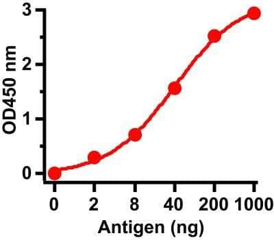 ELISA: Sars Membrane Protein Antibody [NBP2-41059] - A direct ELISA was performed using immunogen as coating antigen and the Sars Membrane Protein Antibody as the capture antibody. Secondary antibody: Goat anti-rabbit IgG HRP conjugate at 1:20000 dilution. Detection range is from 2 ng/ml to 1000 ng/ml.