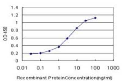ELISA: Semaphorin 4B Antibody (4B2) [H00010509-M03] - Detection limit for recombinant GST tagged SEMA4B is approximately 0.1ng/ml as a capture antibody.