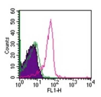 Flow (Cell Surface): Semaphorin 4D/CD100 Antibody (A8) - Azide and BSA Free [NBP2-36736] - Analysis using the Alexa Fluor (R) 488 conjugate of NBP2-25198. Staining of CD100 in 10^6 human lymphocytes using 10 ul (0.25 ug) of this antibody. Shaded histogram represents cells without antibody; green represents isotype control ; red represents antibody.