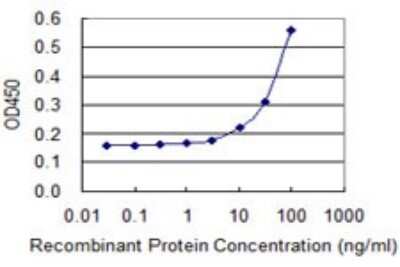 Sandwich ELISA: Septin-2 Antibody (2F8) [H00004735-M06] - Detection limit for recombinant GST tagged SEPT2 is 3 ng/ml as a capture antibody.