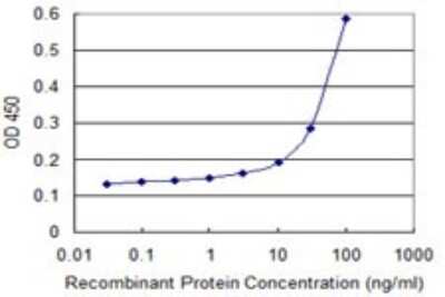 Sandwich ELISA: Septin-6 Antibody (1D6) [H00023157-M01] - Detection limit for recombinant GST tagged SEPT6 is 3 ng/ml as a capture antibody.