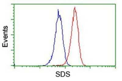 Flow Cytometry: Serine Dehydratase Antibody (OTI3D3) - Azide and BSA Free [NBP2-74074] - Analysis of Jurkat cells, using anti-Serine Dehydratase antibody, (Red), compared to a nonspecific negative control antibody (Blue).