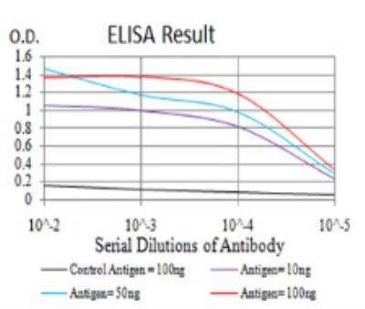 ELISA: Serpin A1/alpha 1-Antitrypsin Antibody (6F9H11) [NBP2-52558] - Black line: Control Antigen (100 ng);Purple line: Antigen (10ng); Blue line: Antigen (50 ng); Red line:Antigen (100 ng)