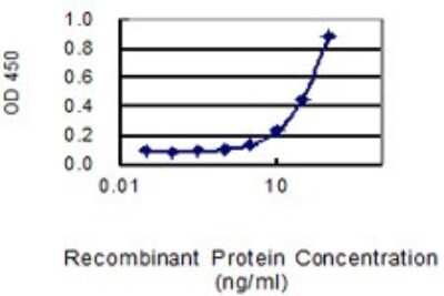 ELISA: Serpin A3/alpha 1-Antichymotrypsin Antibody (1E6) [H00000012-M01] - Detection limit for recombinant GST tagged SERPINA3 is 1 ng/ml as a capture antibody.