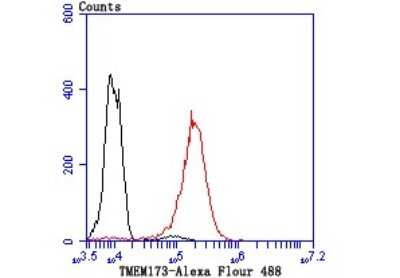 Immunohistochemistry-Paraffin: Serpin A3/alpha 1-Antichymotrypsin Antibody (JM83-29) [NBP2-67138] - Analysis of paraffin-embedded human tonsil tissue using anti-alpha 1 Antichymotrypsin antibody. Counter stained with hematoxylin.