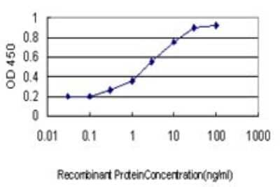 ELISA: Serpin B3/SCCA1 Antibody (2F5) [H00006317-M01] - Detection limit for recombinant GST tagged SERPINB3 is approximately 0.3ng/ml as a capture antibody.