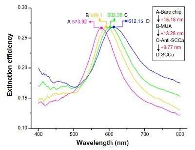 Flow Cytometry: Serpin B3/SCCA1 Antibody (OTI3C2) - Azide and BSA Free [NBP2-74108] - LSPR spectra for processing steps of immobilization and detection of 100 pM SCCa. (A) Bare silver nanochip,max =573.92 nm. (B) Modification of 1 mM MUA,max =589.1 nm. (C) Incubation with 10 ug/mL monoclonal anti-SCCa,max =602.38 nm. (D) Detection of 100 p