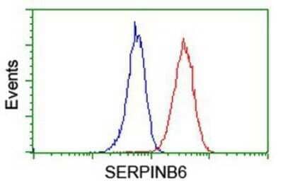 Flow Cytometry: Serpin B6 Antibody (OTI1C5) - Azide and BSA Free [NBP2-74111] - Analysis of Jurkat cells, using anti-SerpinB6 antibody, (Red), compared to a nonspecific negative control antibody (Blue).