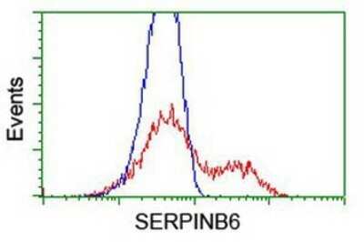 Flow Cytometry: Serpin B6 Antibody (OTI1C5) - Azide and BSA Free [NBP2-74111] - HEK293T cells transfected with either overexpression plasmid (Red) or empty vector control plasmid (Blue) were immunostaining by anti-SerpinB6 antibody, and then analyzed by flow cytometry.