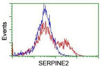 Flow Cytometry: Serpin E2/PN1 Antibody (2C9) [NBP2-01984] - HEK293T cells transfected with either overexpression plasmid (Red) or empty vector control plasmid (Blue) were immunostained by anti-SERPINE2 antibody, and then analyzed by flow cytometry.