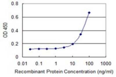 Sandwich ELISA: Serpin I1/Neuroserpin Antibody (1E10) [H00005274-M03] - Detection limit for recombinant GST tagged SERPINI1 is 3 ng/ml as a capture antibody.