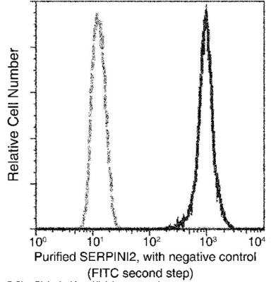 Flow Cytometry: Serpin I2 Antibody (018) [NBP2-89740] - Analysis of Human SERPINI2 expression on U2OS cells. Cells were stained with purified anti-Human SERPINI2, then a FITC-conjugated second step antibody. The fluorescence histograms were derived from gated events with the forward and side light-scatter characteristics of intact cells.