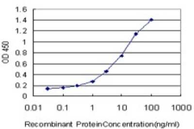 Sandwich ELISA: SerpinB2 Antibody (3A9) [H00005055-M08] - Detection limit for recombinant GST tagged SERPINB2 is approximately 0.3ng/ml as a capture antibody.