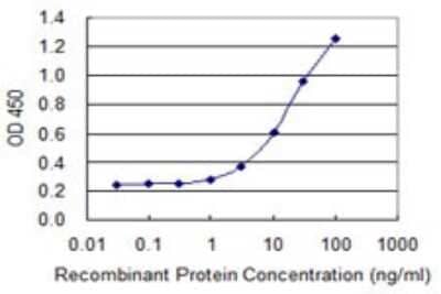 Sandwich ELISA: SerpinB9 Antibody (1F5) [H00005272-M06] - Detection limit for recombinant GST tagged SERPINB9 is 0.3 ng/ml as a capture antibody.