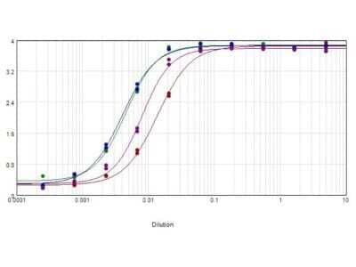 ELISA: Sheep anti-Human IgG (H+L) Secondary Antibody [Biotin] [NB120-6869] - ELISA results of purified Sheep anti-Human IgG (H+L) Secondary Antibody [Biotin] tested against purified Human IgG.  Each well was coated in duplicate with 1.0 ug of human IgG (green line).  The starting dilution of antibody was 5ug/ml and the X-axis represents the Log10 of a 3-fold dilution. This titration is a 4-parameter curve fit where the IC50 is defined as the titer of the antibody. Assay performed using blocking buffer,  Streptavidin HRP conjugate 1:10000 and TMB substrate.