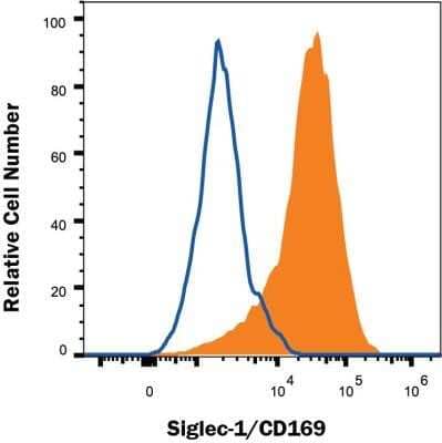 Flow Cytometry: Siglec-1/CD169 Antibody (HSn 7D2) - Azide and BSA Free [NBP2-80947] - Human CD14+ PBMC differentiated to M1 macrophages with rhGM-CSF were stained with Mouse Anti-Siglec-1/CD169 Monoclonal Antibody (NB600-534, filled histogram), or Mouse IgG1 isotype control (MAB002, open histogram) followed by APC-conjugated Anti-Mouse IgG Secondary Antibody (F0101B). Image from the standard format of this antibody.