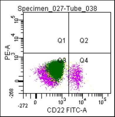 Flow Cytometry: Siglec-2/CD22 Antibody (RFB4) [FITC] [NBP2-49890F] - Flow cytometric analysis of a normal blood sample after immunostaining with Siglec-2/CD22 Antibody (RFB4) [FITC].