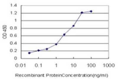 Sandwich ELISA: Sirtuin 1/SIRT1 Antibody (7B7) [H00023411-M01] - Detection limit for recombinant GST tagged SIRT1 is approximately 0.1ng/ml as a capture antibody.