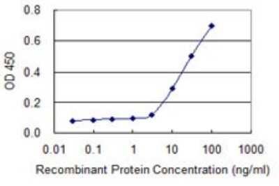 Sandwich ELISA: Sirtuin 3/SIRT3 Antibody (1A4) [H00023410-M09] - Detection limit for recombinant GST tagged SIRT3 is 3 ng/ml as a capture antibody.