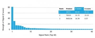 Protein Array: Sirtuin 3/SIRT3 Antibody (PCRP-SIRT3-1C10) - Azide and BSA Free [NBP3-14289] - Analysis of Protein Array containing more than 19,000 full-length human proteins using Sirtuin 3/SIRT3 Antibody (PCRP-SIRT3-1C10).