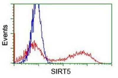 Flow Cytometry: Sirtuin 5/SIRT5 Antibody (OTI2F1) - Azide and BSA Free [NBP2-74199] - HEK293T cells transfected with either overexpression plasmid (Red) or empty vector control plasmid (Blue) were immunostaining by anti-SIRT5 antibody, and then analyzed by flow cytometry.