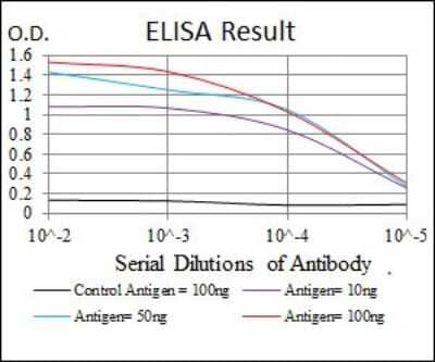 ELISA: Skp1 Antibody (4E11) [NBP2-37539] - Red: Control Antigen (100ng); Purple: Antigen (10ng); Green: Antigen (50ng); Blue: Antigen (100ng);