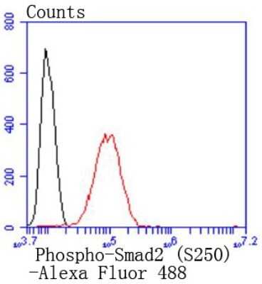Flow Cytometry: Smad2 [p Ser250] Antibody (SD207-1) [NBP2-67761] - Analysis of Hela cells with Phospho-Smad2 (S250) antibody at 1/50 dilution (red) compared with an unlabelled control (cells without incubation with primary antibody; black). Alexa Fluor 488-conjugated goat anti rabbit IgG was used as the secondary antibod