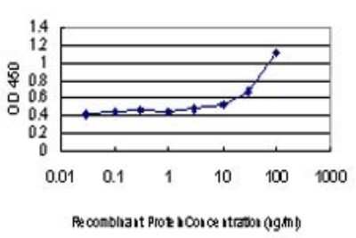 ELISA: Smad3 Antibody (1B7) [H00004088-M07] - Detection limit for recombinant GST tagged SMAD3 is approximately 3ng/ml as a capture antibody.