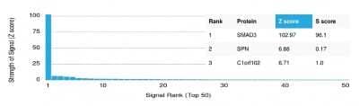Protein Array: Smad3 Antibody (PCRP-SMAD3-1A2) [NBP3-08287] - Analysis of Protein Array containing more than 19,000 full-length human proteins using Smad3 Mouse Monoclonal Antibody (PCRP-Smad3-1A2).