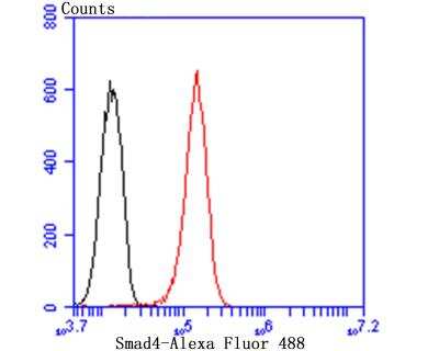 Flow Cytometry: Smad4 Antibody [NBP2-89144] - Analysis of HUVEC cells with Smad4 antibody at 1/50 dilution (red) compared with an unlabelled control (cells without incubation with primary antibody; black). Alexa Fluor 488-conjugated goat anti rabbit IgG was used as the secondary antibody.
