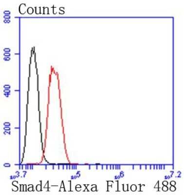Flow Cytometry: Smad4 Antibody (SP05-05) [NBP2-67372] - Analysis of SH-SY-5Y cells with Smad4 antibody at 1/50 dilution (red) compared with an unlabelled control (cells without incubation with primary antibody; black). Alexa Fluor 488-conjugated goat anti rabbit IgG was used as the secondary antibody.