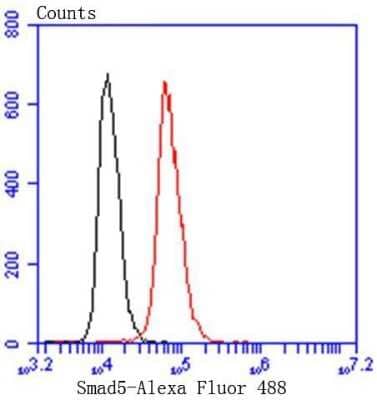 Flow Cytometry: Smad5 Antibody (SI17-06) [NBP2-67404] - Analysis of Hela cells with Smad5 antibody at 1/50 dilution (red) compared with an unlabelled control (cells without incubation with primary antibody; black). Alexa Fluor 488-conjugated goat anti rabbit IgG was used as the secondary antibody.