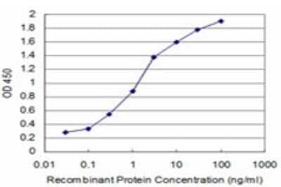 Sandwich ELISA: Smad7 Antibody (3G8) [H00004092-M01] - Detection limit for recombinant GST tagged SMAD7 is approximately 0.1ng/ml as a capture antibody.